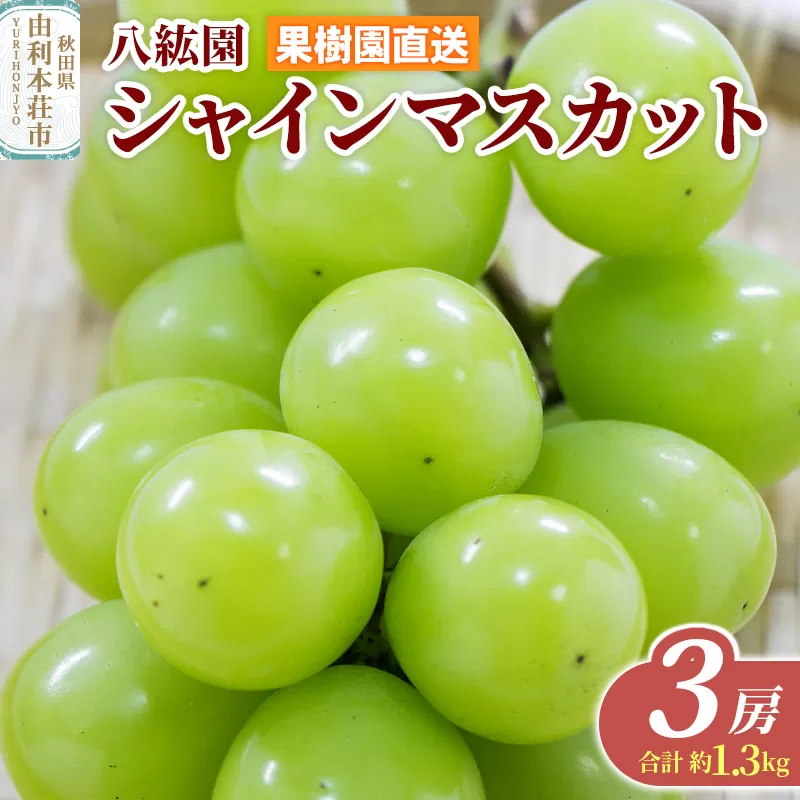 秋田県 由利本荘市産 八紘園 シャインマスカット 3房(合計 約1.3kg) 秋田県由利本荘市