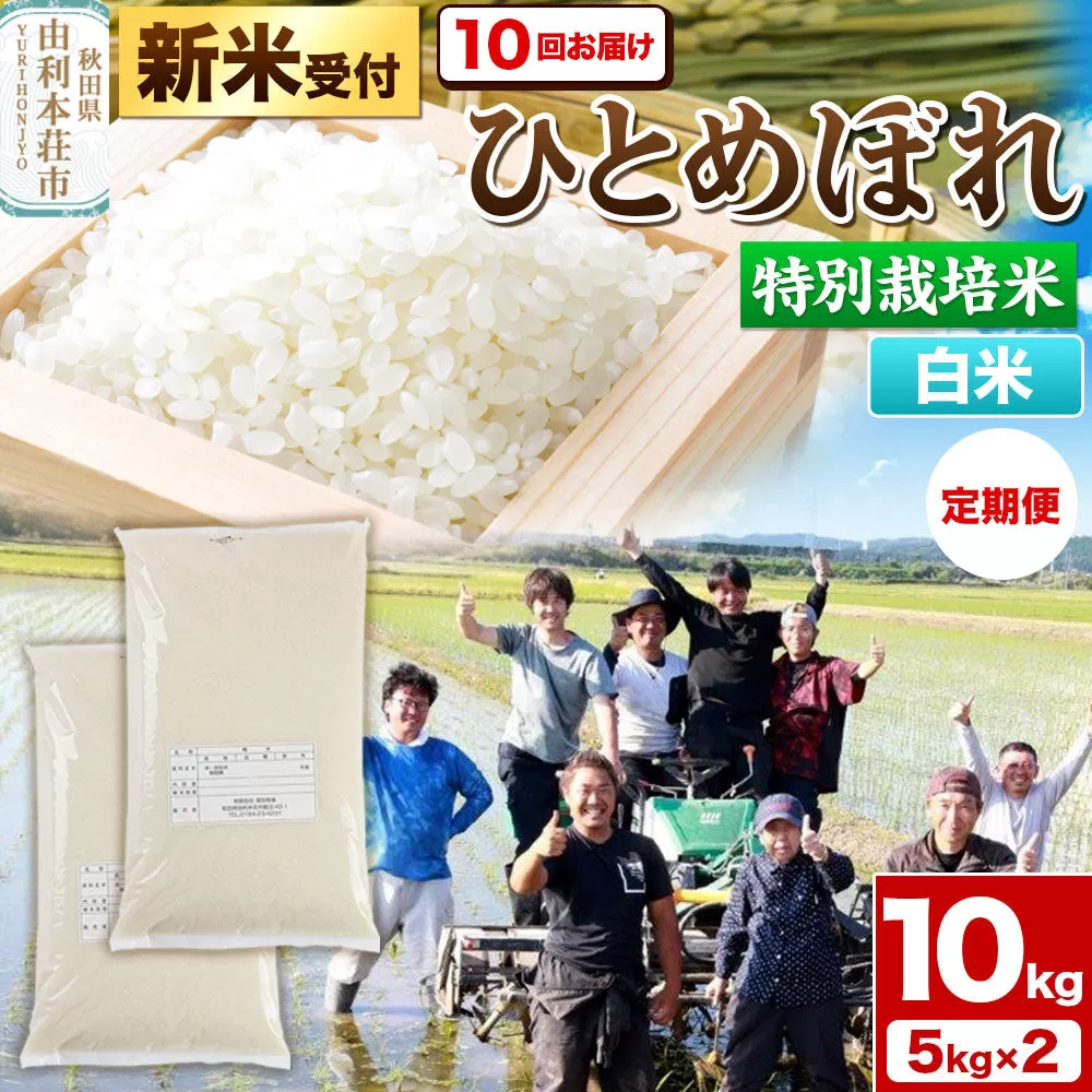 《新米予約》《定期便10ヶ月》令和8年産【白米】特別栽培米 ひとめぼれ 10kg（5kg×2袋）秋田県産 [ひとめぼれ 米 お米 白米 精米 特別栽培米 ブランド米 食卓 秋田県産 秋田県 由利本荘市] 秋田県由利本荘市