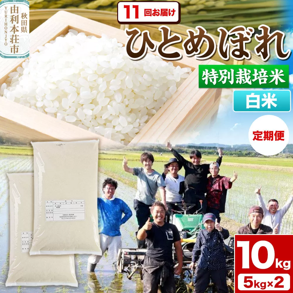 《定期便11ヶ月》令和7年産【白米】特別栽培米 ひとめぼれ 10kg（5kg×2袋）秋田県産 [ひとめぼれ 米 お米 白米 精米 特別栽培米 ブランド米 食卓 秋田県産 秋田県 由利本荘市] 秋田県由利本荘市