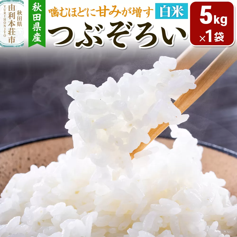 【白米】秋田県由利本荘市産 つぶぞろい 5kg 令和7年産 秋田県由利本荘市