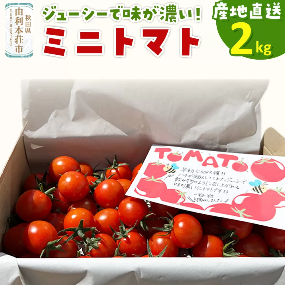 《先行受付》8月上旬〜9月下旬発送 ミニトマト 2kg 秋田県 由利本荘市