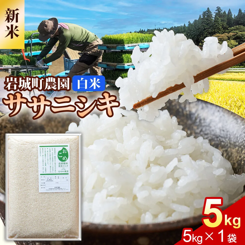 《令和8年産 新米》【白米】ササニシキ 5kg(5kg×1袋) 秋田県 由利本荘市産 真空パック 岩城町農園 [新米 米 お米 精米 秋田県産 ササニシキ 白米 ブランド米 食卓 おにぎり 秋田県産 秋田] 秋田県由利本荘市