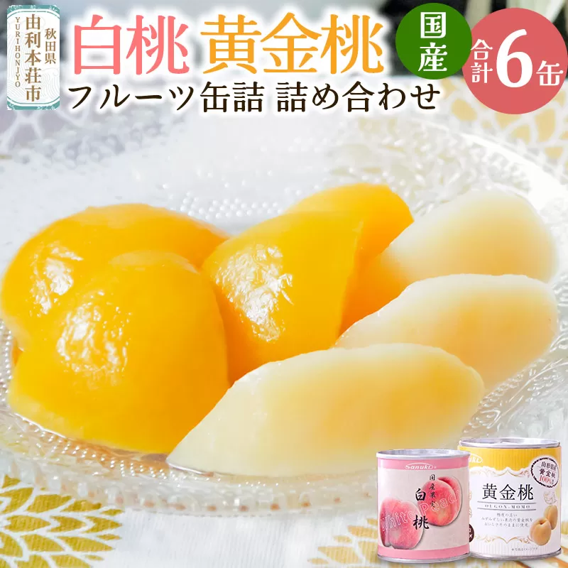 Sanuki フルーツ缶詰 詰め合わせ 6缶セット(黄金桃、白桃)