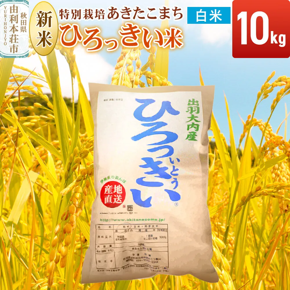 《令和8年産 新米受付》【白米】あきたこまち 10kg 秋田県産  特別栽培米 ひろっきい米 [新米 あきたこまち 米 白米 精米 お米 おこめ ブランド米 食卓 おにぎり 秋田県産 秋田県 由利本荘市] 秋田県由利本荘市
