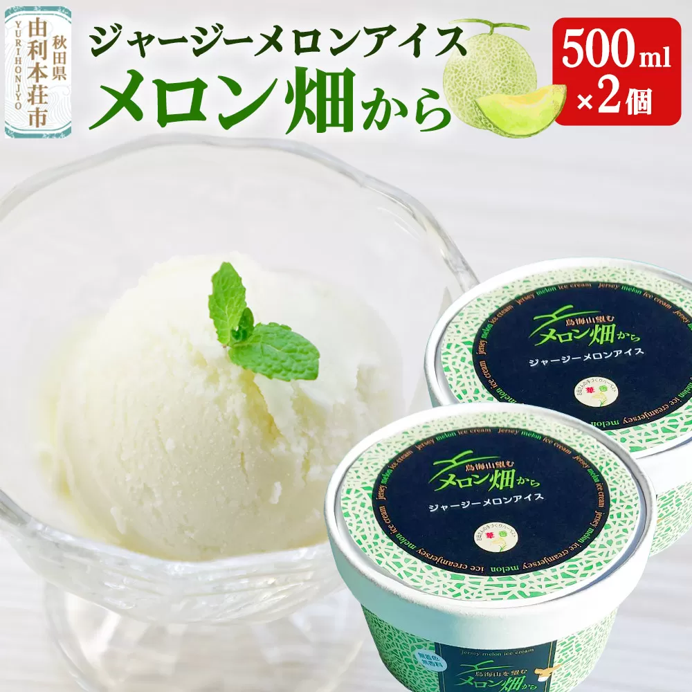 ジャージーメロンアイス「メロン畑から」500ml×2個 メロンミルク フルーツ 