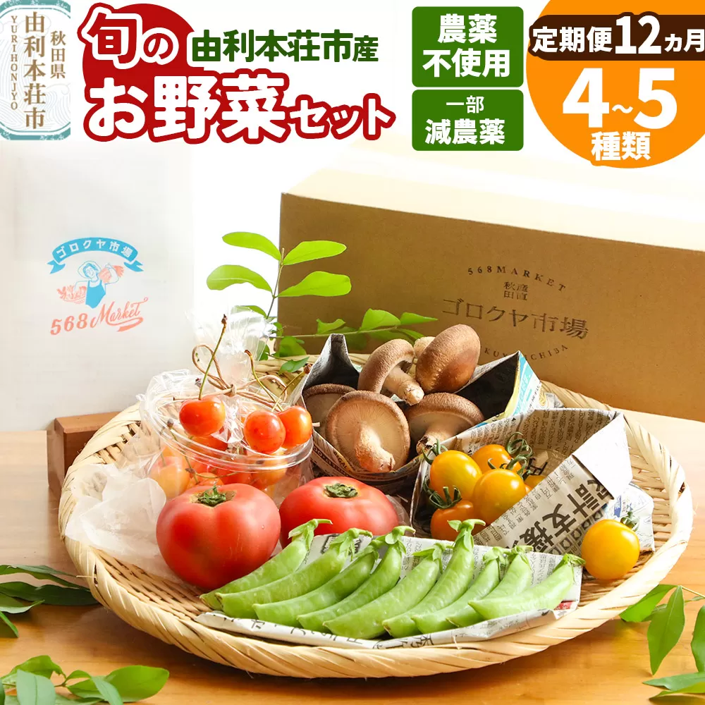 【定期便 1年分・12ヶ月】旬のお野菜セット 秋田県 由利本荘市産 栽培期間中農薬不使用 減農薬
