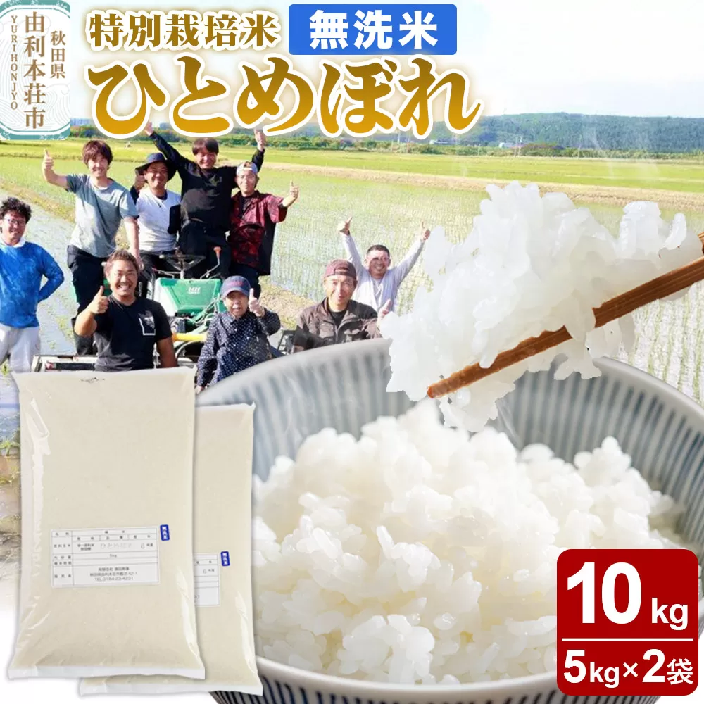 【無洗米】秋田県由利本荘市産 特別栽培米 ひとめぼれ 10kg（5kg×2袋）令和6年産 秋田県由利本荘市