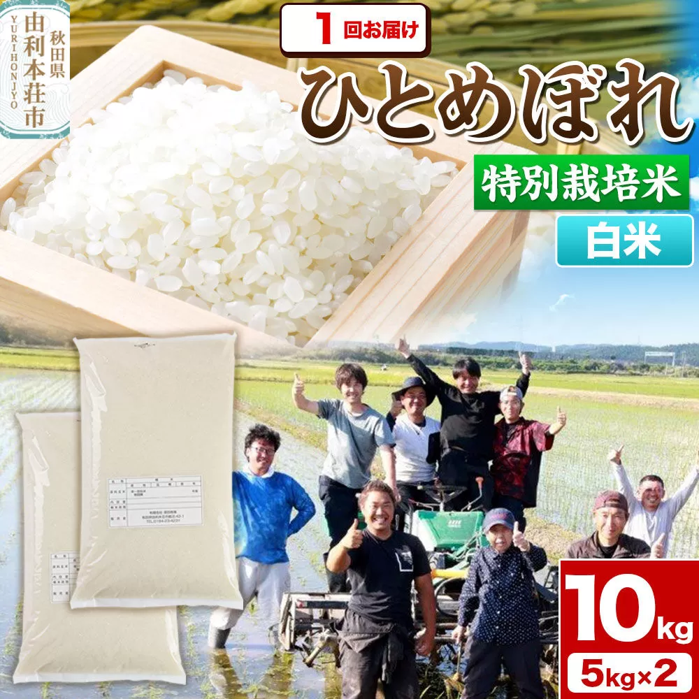 令和7年産【白米】特別栽培米 ひとめぼれ 10kg（5kg×2袋）秋田県産 [ひとめぼれ 米 お米 白米 精米 特別栽培米 ブランド米 食卓 秋田県産 秋田県 由利本荘市] 秋田県由利本荘市