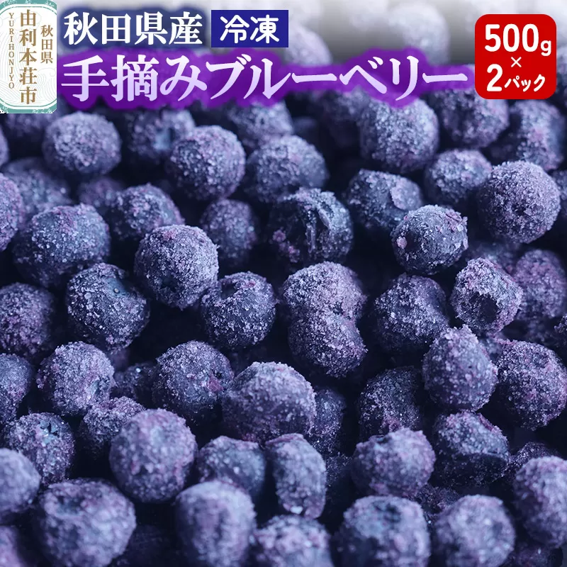 秋田県産 手摘み冷凍ブルーベリー 500g×2パック 秋田県由利本荘市