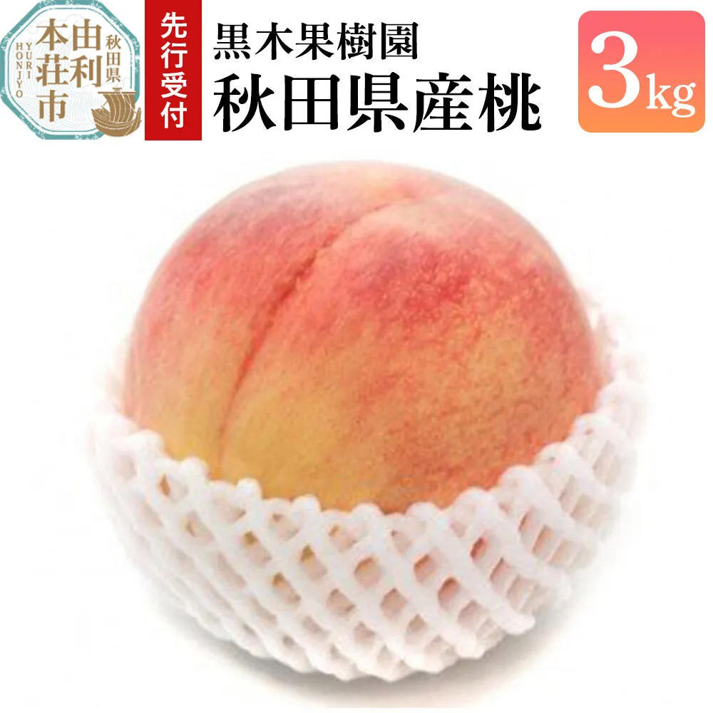 《先行受付》【数量限定】桃 3kg 黒木果樹園の桃 秋田県産（8月上旬から9月上旬に発送） [数量限定 桃 もも モモ 果物 フルーツ 新鮮 フレッシュ スイーツ デザート 秋田県産 由利本荘市 黒木果樹園] 秋田県由利本荘市