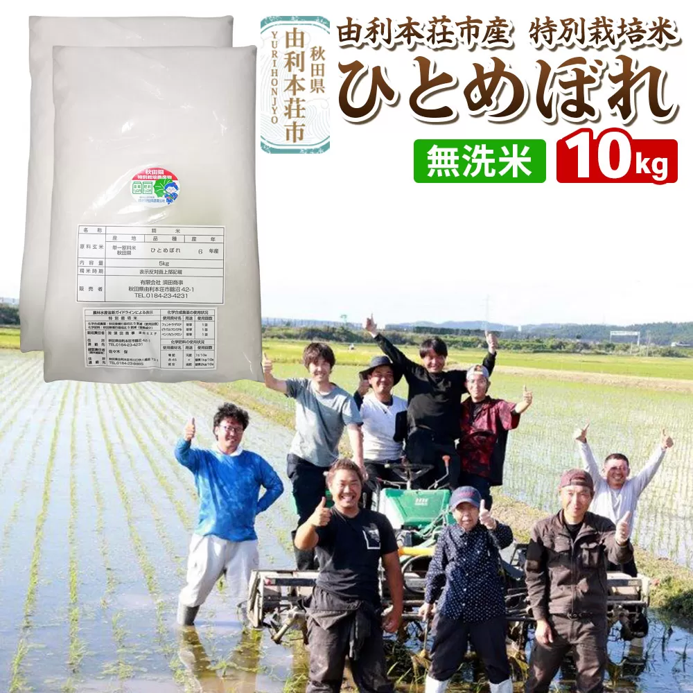 【無洗米】秋田県由利本荘市産 特別栽培米 ひとめぼれ 10kg（5kg×2袋）令和6年産