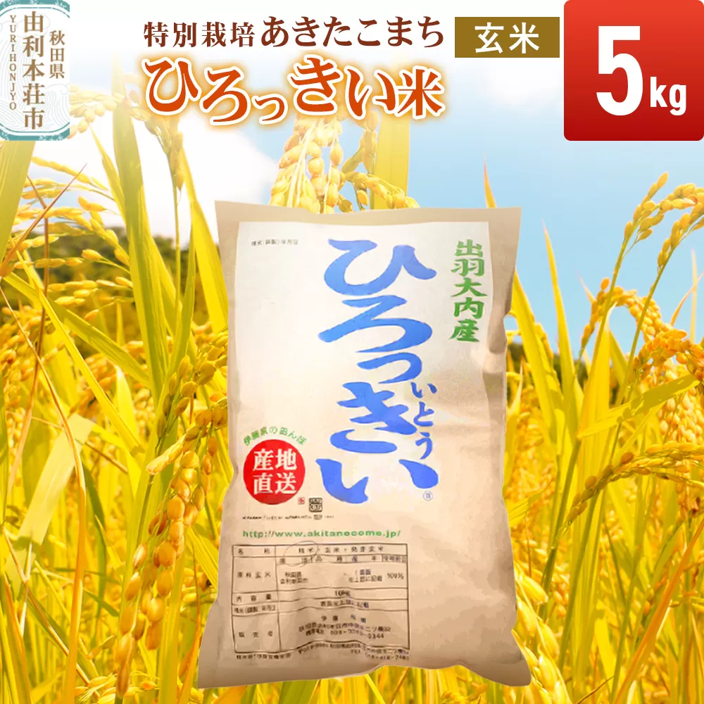 【玄米】 秋田県産 あきたこまち 5kg 令和7年産 特別栽培米 ひろっきい米 秋田県由利本荘市