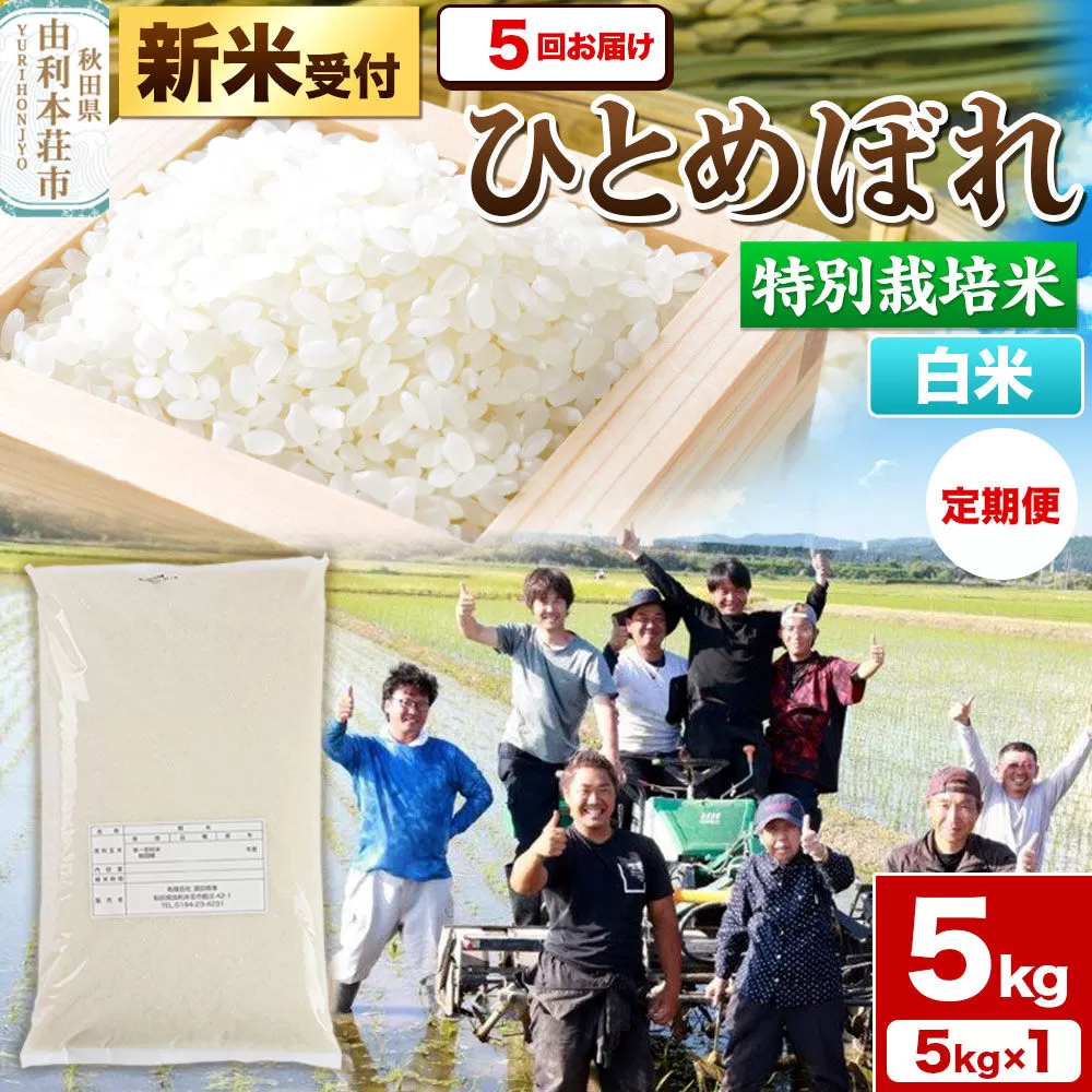 《新米予約》《定期便5ヶ月》令和8年産【白米】特別栽培米 ひとめぼれ 5kg 秋田県産 [ひとめぼれ 米 お米 白米 精米 特別栽培米 ブランド米 食卓 秋田県産 秋田県 由利本荘市] 秋田県由利本荘市