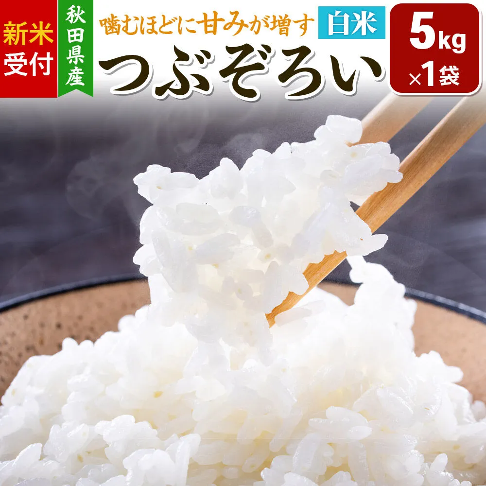 《新米受付》令和8年産【白米】つぶぞろい 5kg 秋田県由利本荘市産 [新米予約 米 お米 白米 精米 つぶぞろい 粒ぞろい 大粒 粒が大きい 柔らかい食感 甘み 粘り 香り ふっくら もっちり ご飯 ごはん 秋田] 秋田県由利本荘市