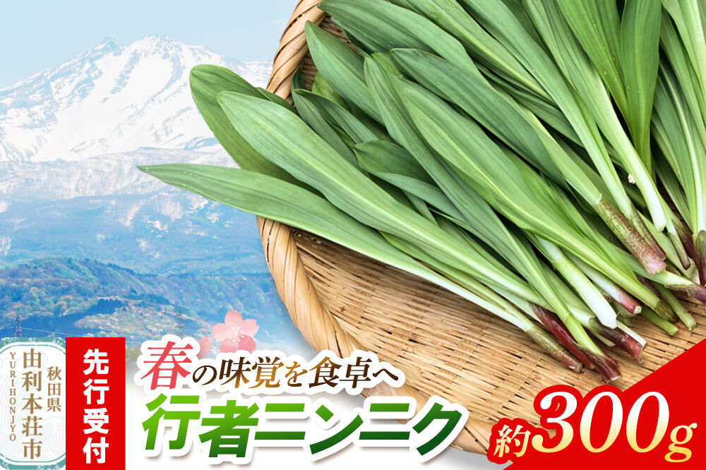 先行受付》行者ニンニク 約300g [山菜 行者にんにく 自然栽培 野菜