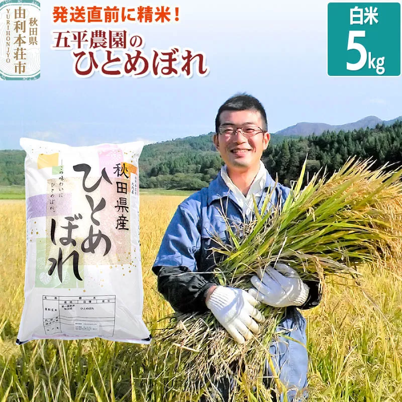【白米】ひとめぼれ 5kg 令和7年産 秋田県産 五平農園のひとめぼれ お米 米 こめ 五平農園 秋田県由利本荘市