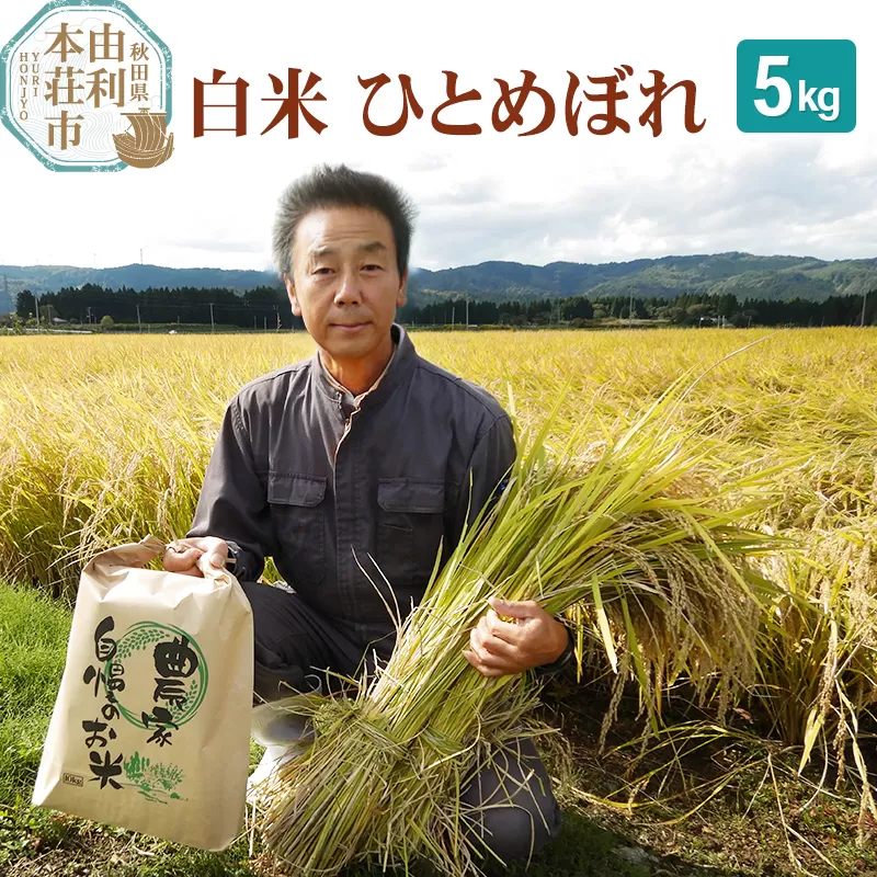【白米】 ＜通算5回 特A＞ ひとめぼれ   5kg 令和7年産 農家直送 渡部さんのひとめぼれ [ひとめぼれ 米 お米 こめ 白米 精米 ブランド米 食卓 おにぎり 秋田県産 秋田県 由利本荘市] 秋田県由利本荘市