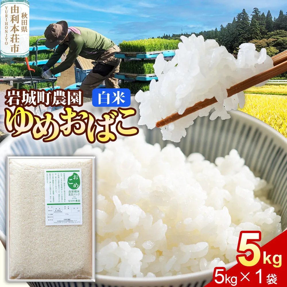 【白米】ゆめおばこ 秋田県産 岩城町農園のゆめおばこ 5kg（5kg×1袋）令和7年産 真空パック [ゆめおばこ 米 お米 こめ 白米 精米 食卓 ご飯 ごはん おにぎり 秋田県 由利本荘市] 秋田県由利本荘市