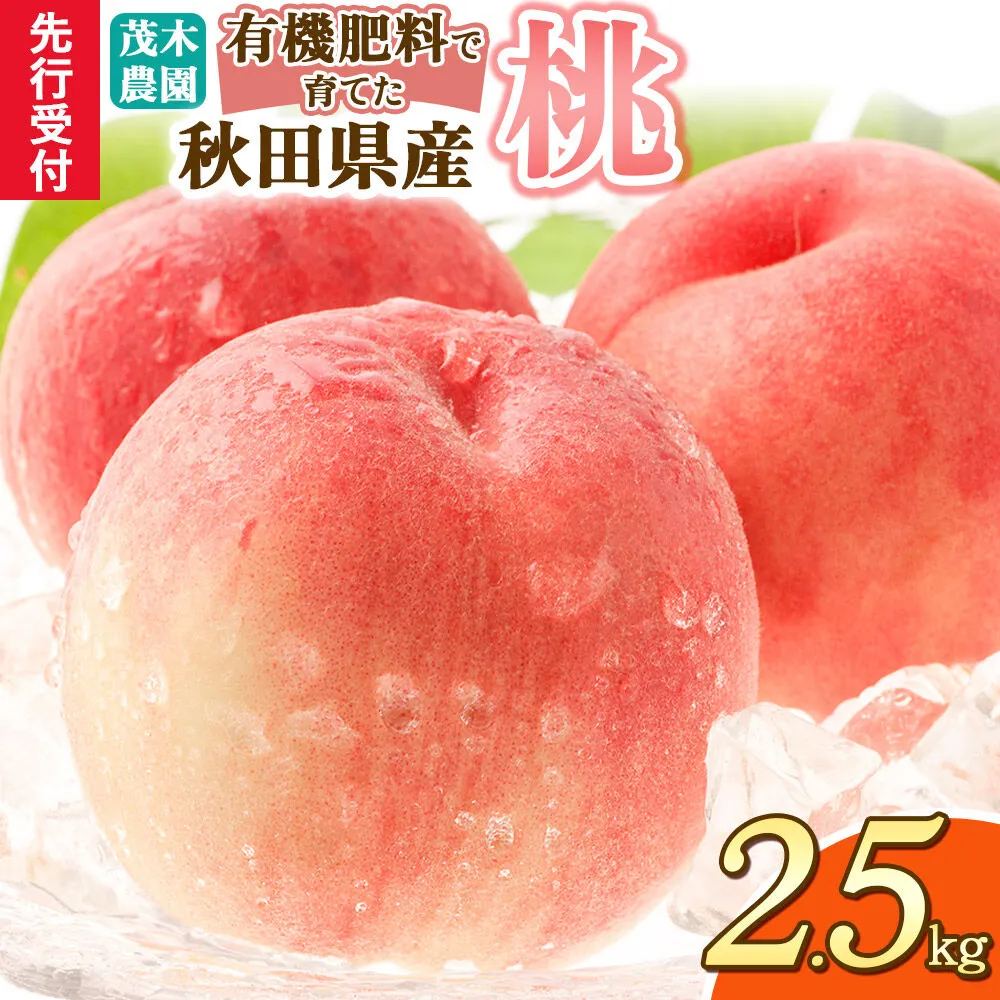 《先行受付》桃 2.5kg 茂木農園 秋田県産  [桃 もも モモ フルーツ 果物 スイーツ デザート 美味] 秋田県由利本荘市
