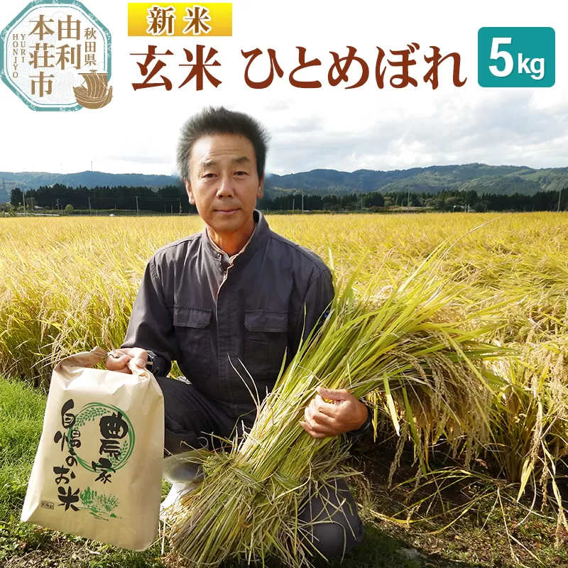 【玄米】 ＜通算5回 特A＞ ひとめぼれ   5kg 令和7年産 新米 農家直送 渡部さんのひとめぼれ 秋田県由利本荘市
