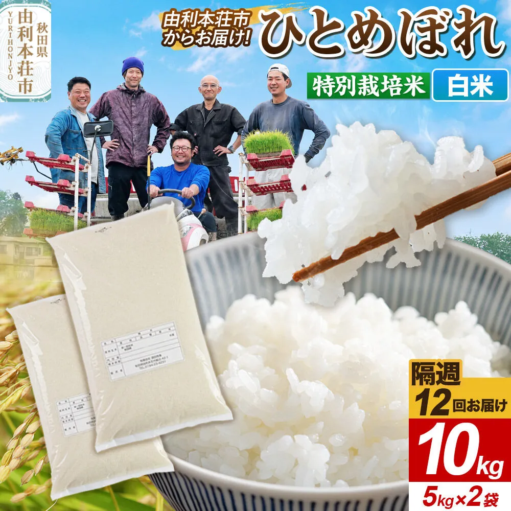 《2週間毎お届け》【定期便12回】令和8年産 新米受付【白米】ひとめぼれ 10kg（5kg×2袋）特別栽培米   秋田県産 [ひとめぼれ 新米予約 米 お米 白米 精米 特別栽培米 ブランド米 食卓 おにぎり 秋田県産 秋田] 秋田県由利本荘市