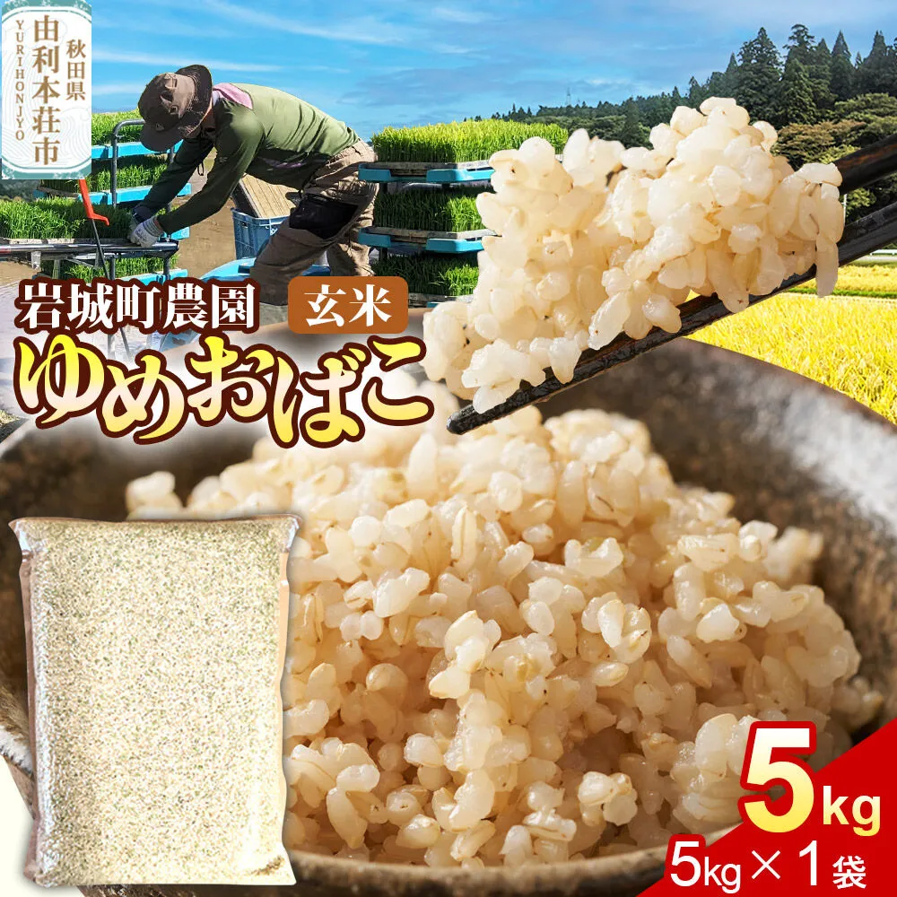 【玄米】ゆめおばこ 秋田県産 岩城町農園のゆめおばこ 5kg（5kg×1袋）令和7年産 真空パック [ゆめおばこ 米 お米 こめ 玄米 食卓 ご飯 ごはん おにぎり 秋田県 由利本荘市] 秋田県由利本荘市