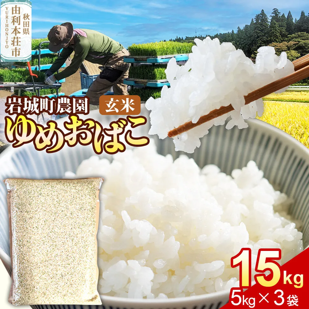 【玄米】ゆめおばこ 秋田県産 岩城町農園のゆめおばこ 15kg（5kg×3袋）令和7年産 真空パック [ゆめおばこ 米 お米 こめ 玄米 食卓 ご飯 ごはん おにぎり 秋田県 由利本荘市] 秋田県由利本荘市