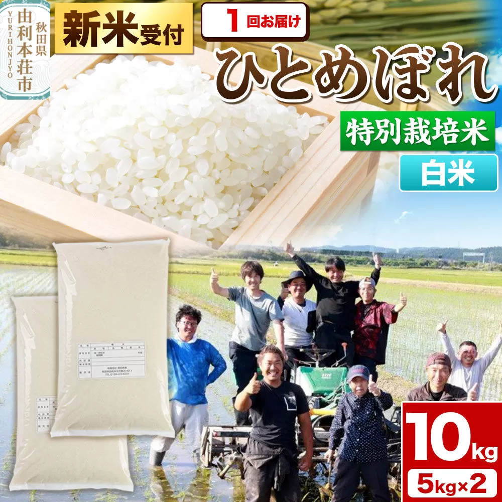 《新米予約》令和8年産【白米】特別栽培米 ひとめぼれ 10kg（5kg×2袋）秋田県産【収穫次第2026年10月頃出荷予定】 [ひとめぼれ 米 お米 白米 精米 特別栽培米 ブランド米 食卓 秋田県産 秋田県 由利本荘市] 秋田県由利本荘市