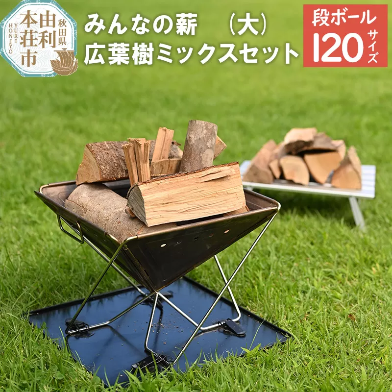 みんなの薪(大) 広葉樹ミックスセット20cmから25cmカット 120サイズ