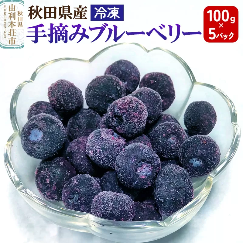 秋田県産 手摘み冷凍ブルーベリー 100g×5パック 秋田県由利本荘市