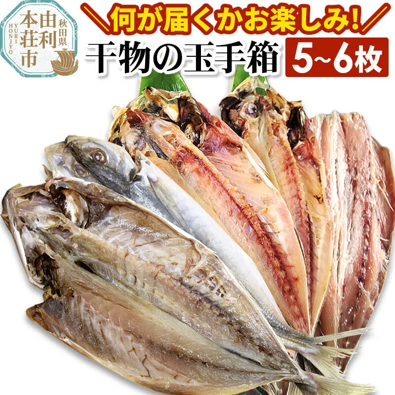 干物の玉手箱 5〜6枚 [魚 鮮魚 干物 おかず おつまみ 食べ比べ セット おまかせ 冷凍 贈答 秋田] 秋田県由利本荘市