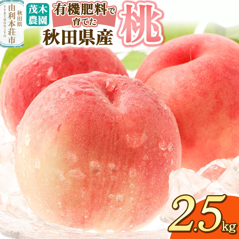 《予約受付》茂木農園 秋田県産 桃 2.5kg