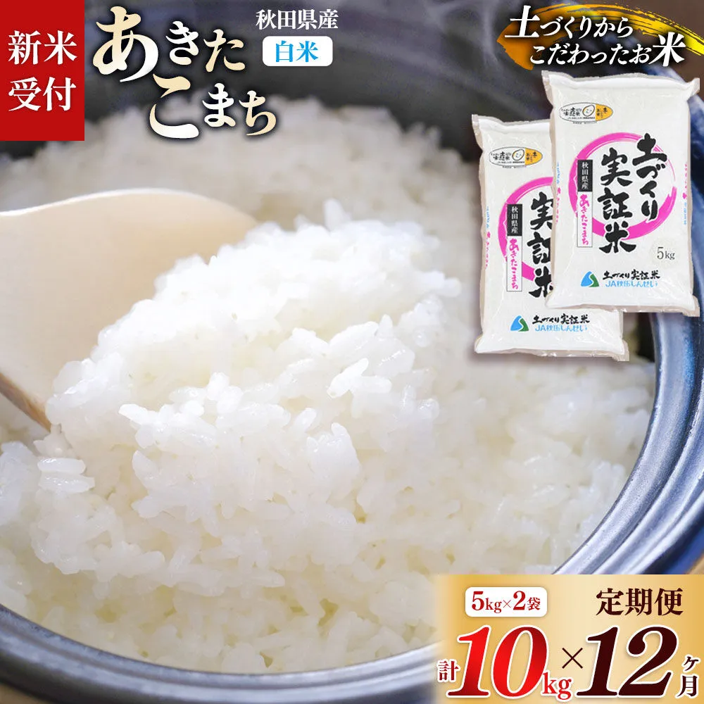 《令和8年産 新米受付》《定期便12ヶ月》【白米】あきたこまち 10kg (5kg袋小分け) ×12回  土作り実証米 合計120kg 秋田県産 [あきたこまち 米 お米 こめ 白米 精米 ブランド米 食卓 おにぎり 秋田県産 国産 土作り実証米 おいしい 秋田県 由利本荘市] 秋田県由利本荘市