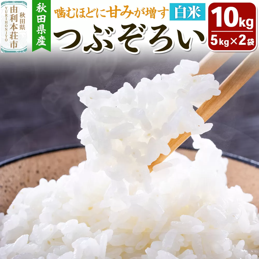 【白米】秋田県由利本荘市産 つぶぞろい 10kg（5kg×2袋）令和7年産 秋田県由利本荘市