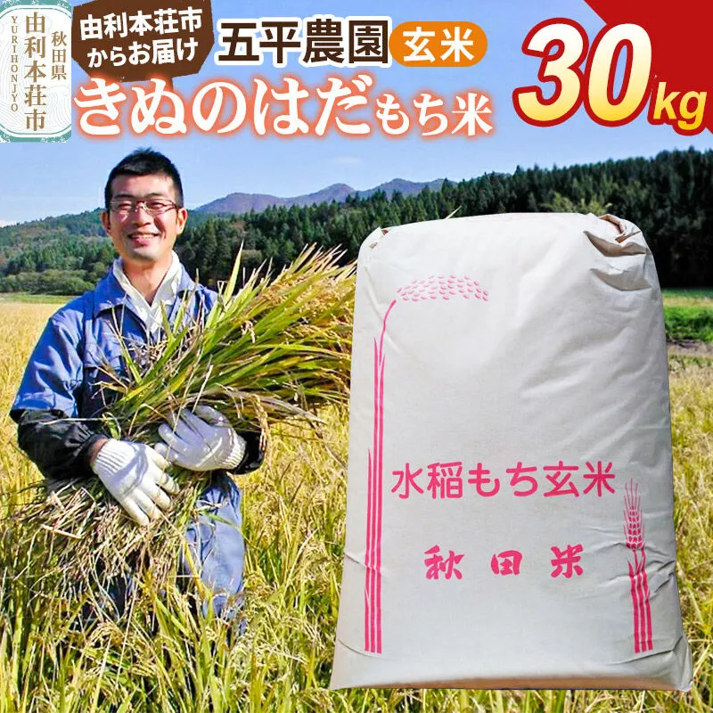 【限定】（餅米）30キロ、希少の静岡県産令和7年度産新米玄米色選４回冷蔵庫保管 令和7年産【もち米】玄米 きぬのはだ 30kg 秋田県 由利本荘市産 五平