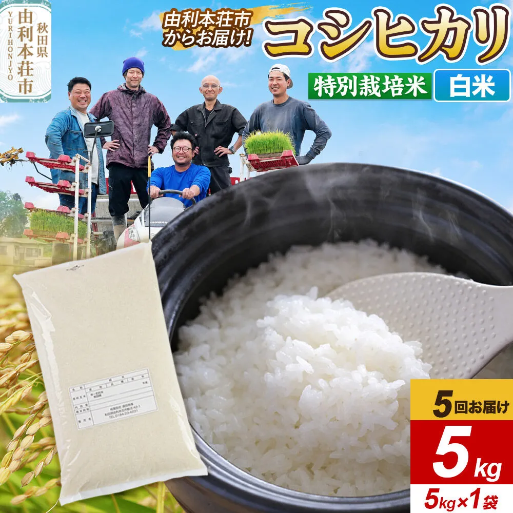 《定期便5ヶ月》令和7年産【白米】特別栽培米 コシヒカリ 5kg 秋田県産 [コシヒカリ 米 お米 こめ 白米 精米 ブランド米 特別栽培米 食卓 おにぎり 秋田県産 秋田] 秋田県由利本荘市