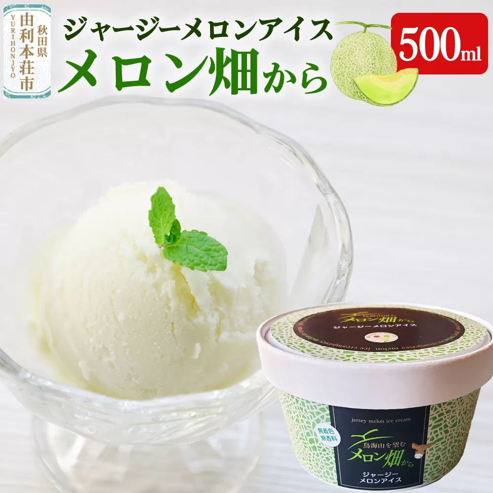 ジャージーメロンアイス「メロン畑から」 500ml