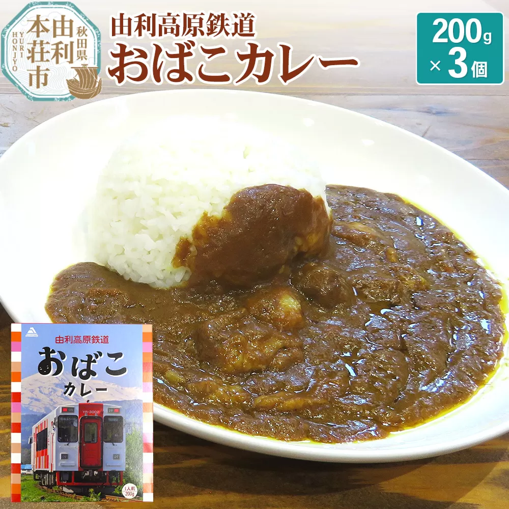 由利高原鉄道 おばこカレー 中辛 200g×3個セット