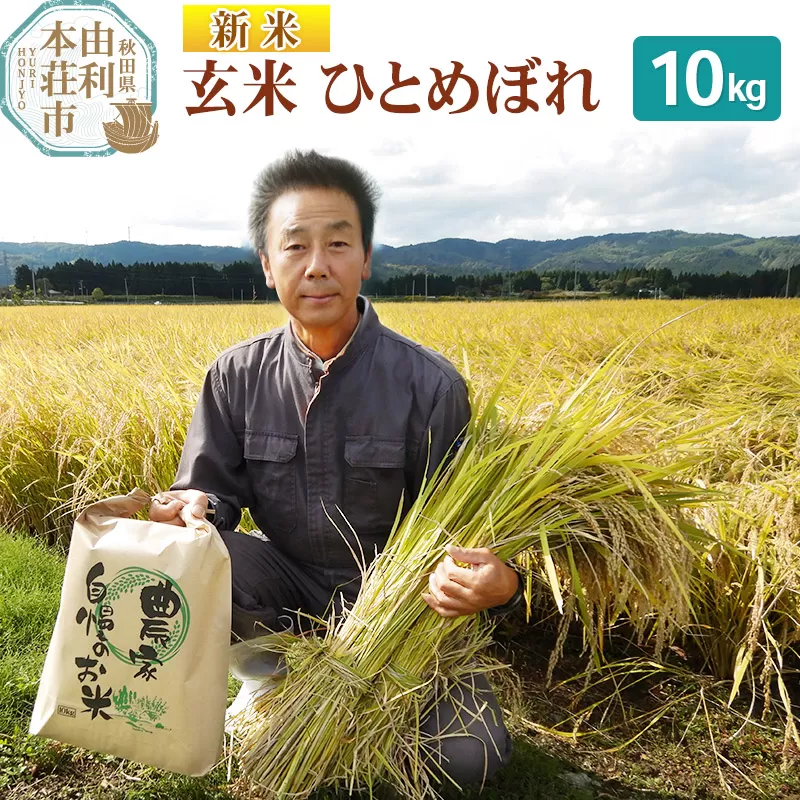 【玄米】 ＜通算5回 特A＞ ひとめぼれ 10kg 令和7年産 新米 農家直送 渡部さんのひとめぼれ 秋田県由利本荘市