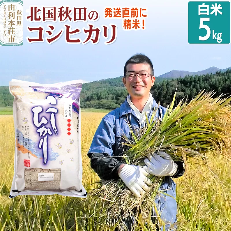 【白米】コシヒカリ 5kg 令和7年産 秋田県産 北国秋田のコシヒカリ お米 米 こめ 五平農園 秋田県由利本荘市