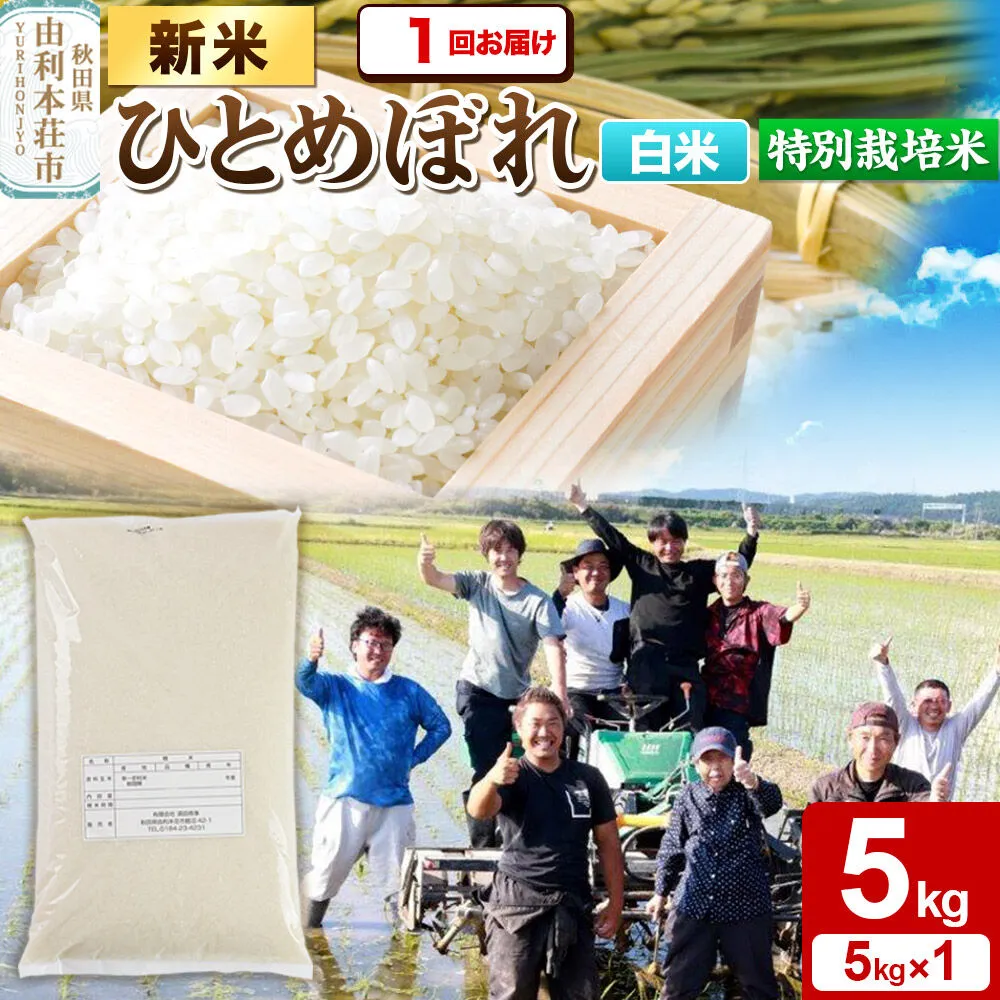 ＜令和8年産 新米＞【白米】特別栽培米 ひとめぼれ 5kg 秋田県産 [ひとめぼれ 新米 米 お米 白米 精米 特別栽培米 ブランド米 食卓 おにぎり 秋田県産 秋田] 秋田県由利本荘市
