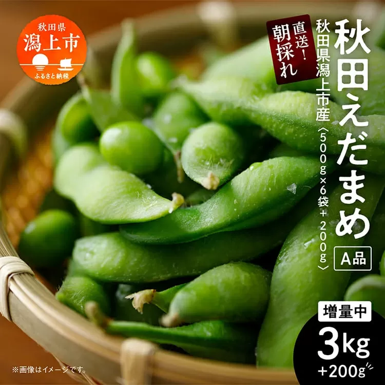 《先行予約》令和7年産 枝豆 3kg 農家直送 収穫 当日発送 A品 500g × 6袋 朝獲れ えだまめ 厳選 クール便 発送 個包装 朝採り 野菜 夏野菜 おつまみ 晩酌 特上 Aランクお取り寄せ グルメ 潟上市 秋田 おいしい つまみ
