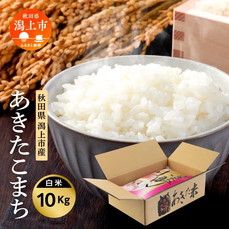 【先行予約】新米 令和8年産 あきたこまち 10kg 精米 直送 米 お米 こめ おこめ コメ コスパ ブランド米 産地直送 贈り物 プレゼント おいしい お米 秋田こまち 秋田県潟上市 【鎌仁商店】