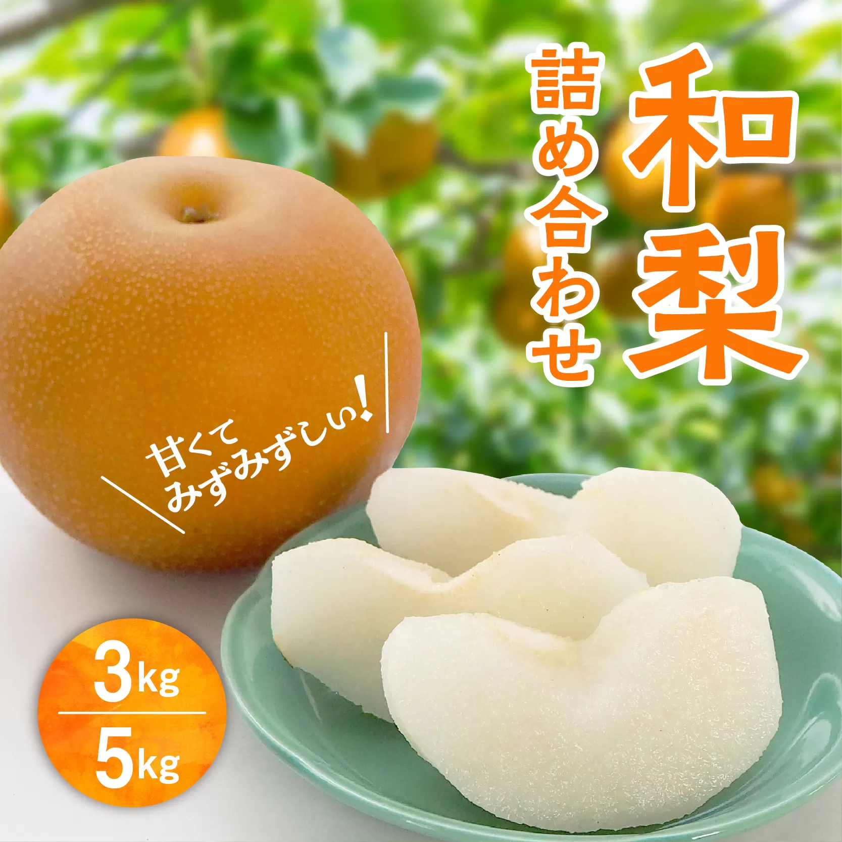 和梨 詰め合わせ 5kg 旬 甘い くだもの 果物 フルーツ なし ナシ グルメ 人気 おすすめ ランキング 故郷 ふるさと 納税 秋田 秋田県 潟上 潟上市 【舘岡果樹園】