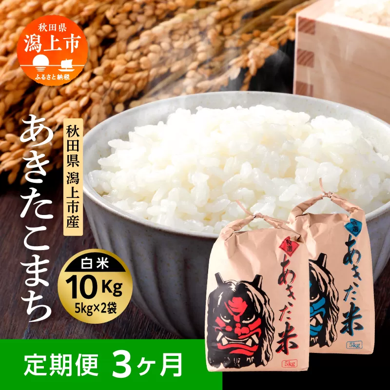 【3ヶ月定期便】令和7年 秋田県産 あきたこまち 5kg × 2袋 10kg 精米 直送 米 お米 こめ おこめ コメ ブランド米 美味しい 産地直送 贈り物プレゼント おいしいお米 美味しいお米 秋田こまち 訳あり わけあり 一人暮らし