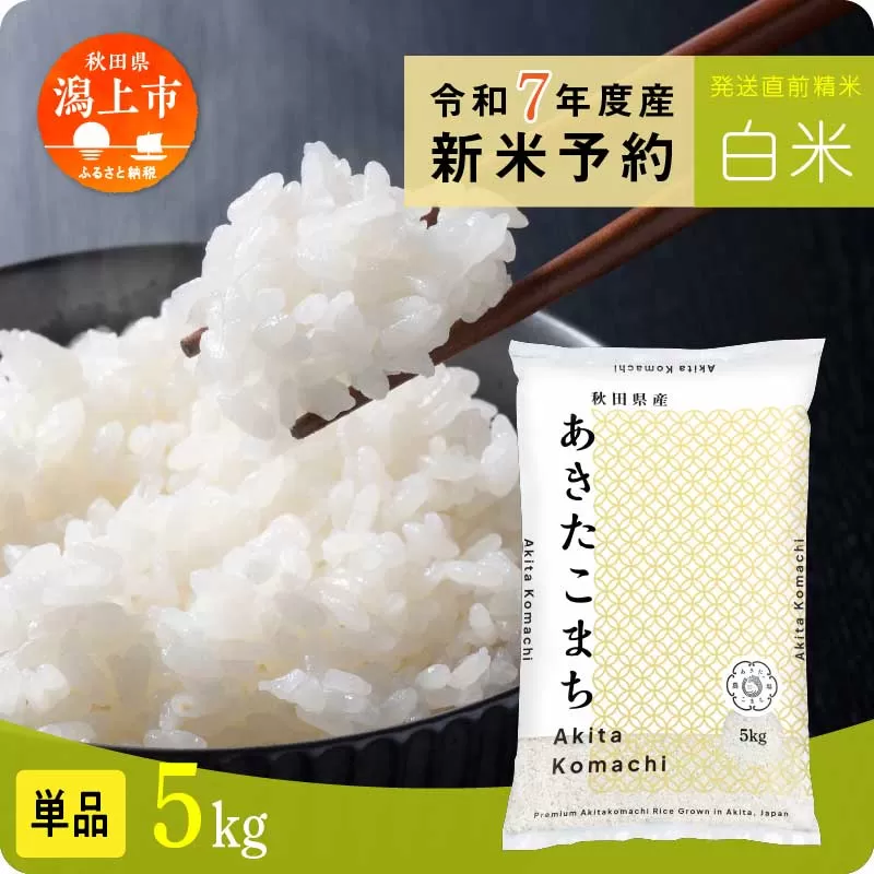 [先行予約] 白米 あきたこまち 令和7年産 5kg(5kg×1) 5kg袋 小分け 米 グルメ ふるさと こめ コメ 一人暮らし [秋田のこまち農場]