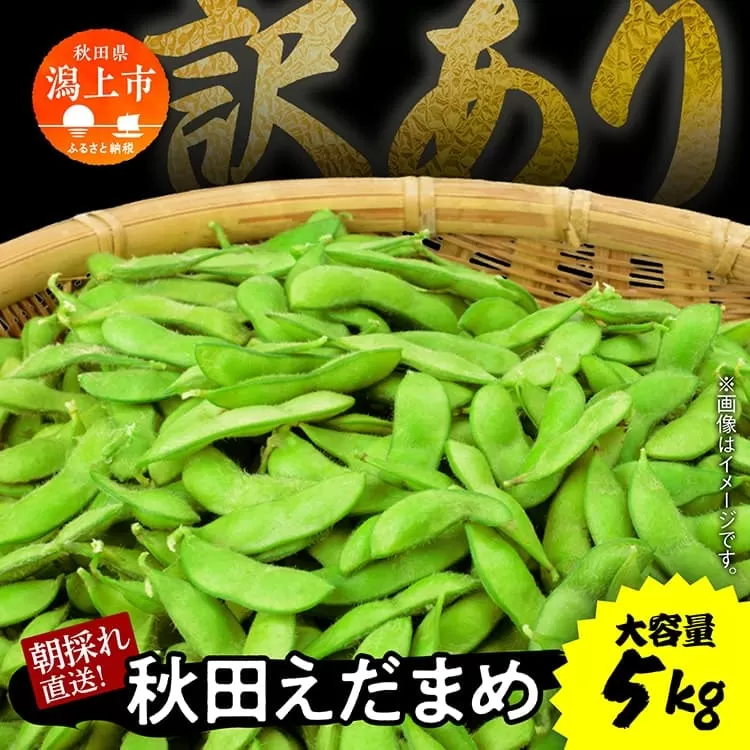 《先行予約》令和7年産 訳あり 枝豆 5kg 農家直送 収穫 当日発送 えだまめ 2kg 3kg × 各1袋 朝獲れ クール便 発送 朝採り 野菜 夏野菜 おつまみ 晩酌 Bランク お取り寄せ グルメ 潟上市 秋田 おいしい つまみ