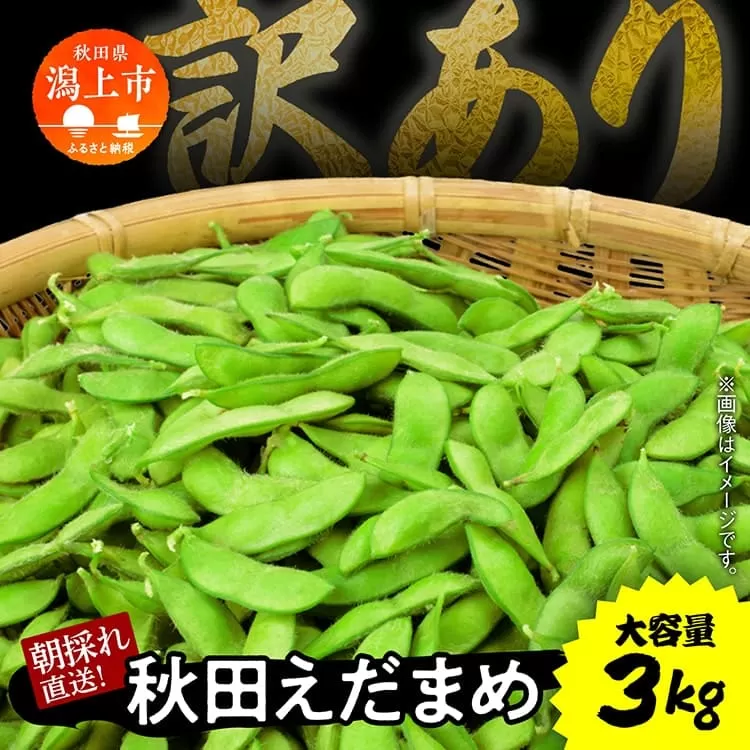 《先行予約》令和7年産 訳あり 枝豆 3kg 農家直送 収穫 当日発送 えだまめ 朝獲れ クール便 発送 朝採り 野菜 夏野菜 おつまみ 晩酌 Bランク お取り寄せ グルメ 潟上市 秋田 おいしい つまみ