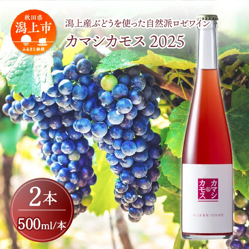 カマシカモス 2025年 ロゼ 中辛口 2本