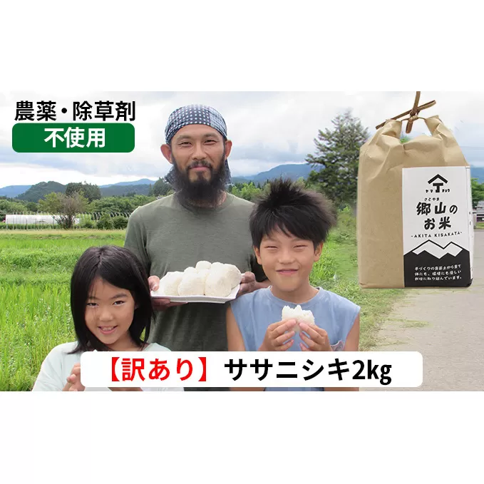 訳あり！2kg×1袋 農薬不使用のササニシキ（玄米）